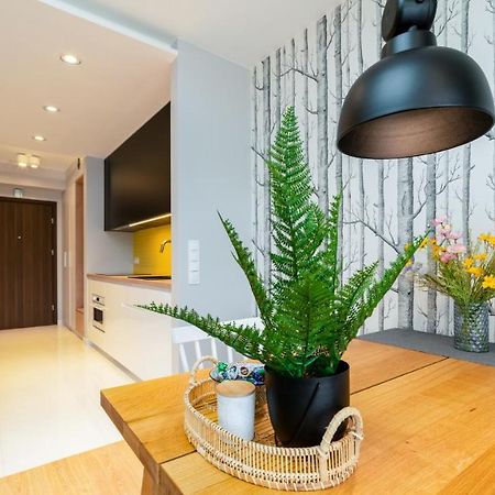 Triventi Mountain Residence Apartament Sunrise 카르파츠 외부 사진
